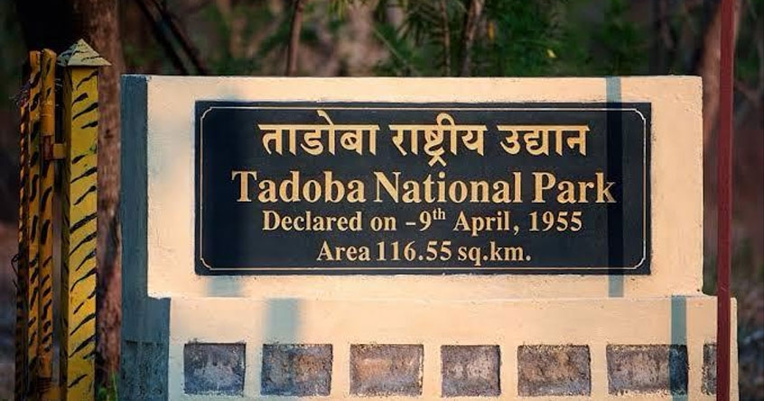 Travelling in Tadoba become expensive