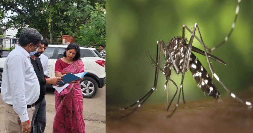 Dengue-and-Chikungunya