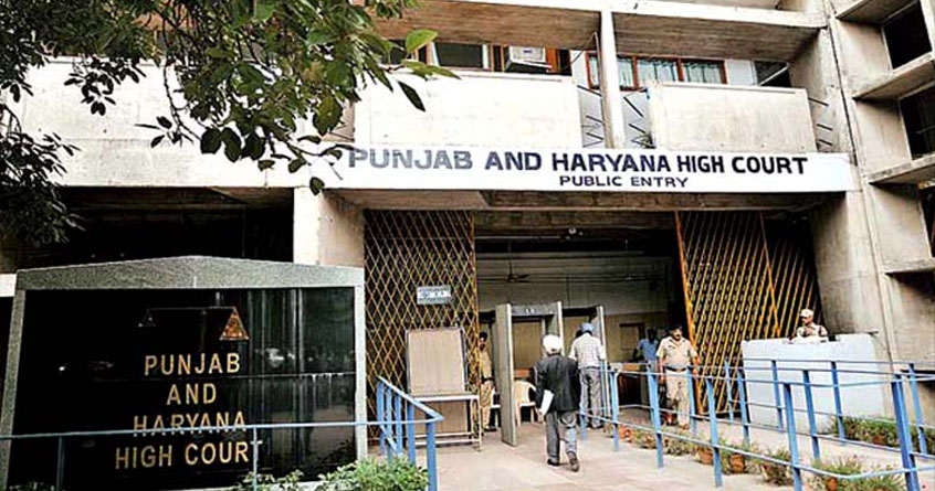 punjab hariyana hc