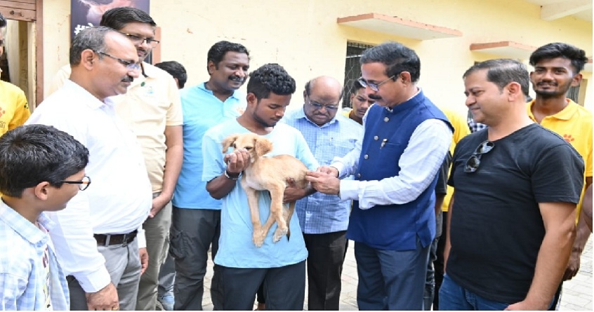 rabies vaccination campaign